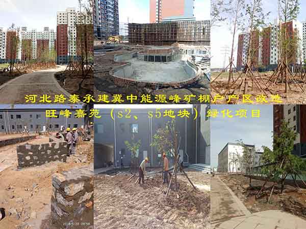 河北路泰承建冀中能源峰礦棚戶產(chǎn)區(qū)改造旺峰嘉苑（s2、s5地塊）綠化項(xiàng)目有序施工中